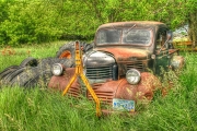 HDR-11