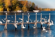 PLACES-2