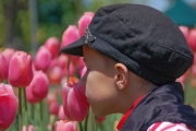 BOY SMELLING FLOWERS