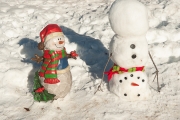 WINTER-2