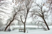 WINTER-3